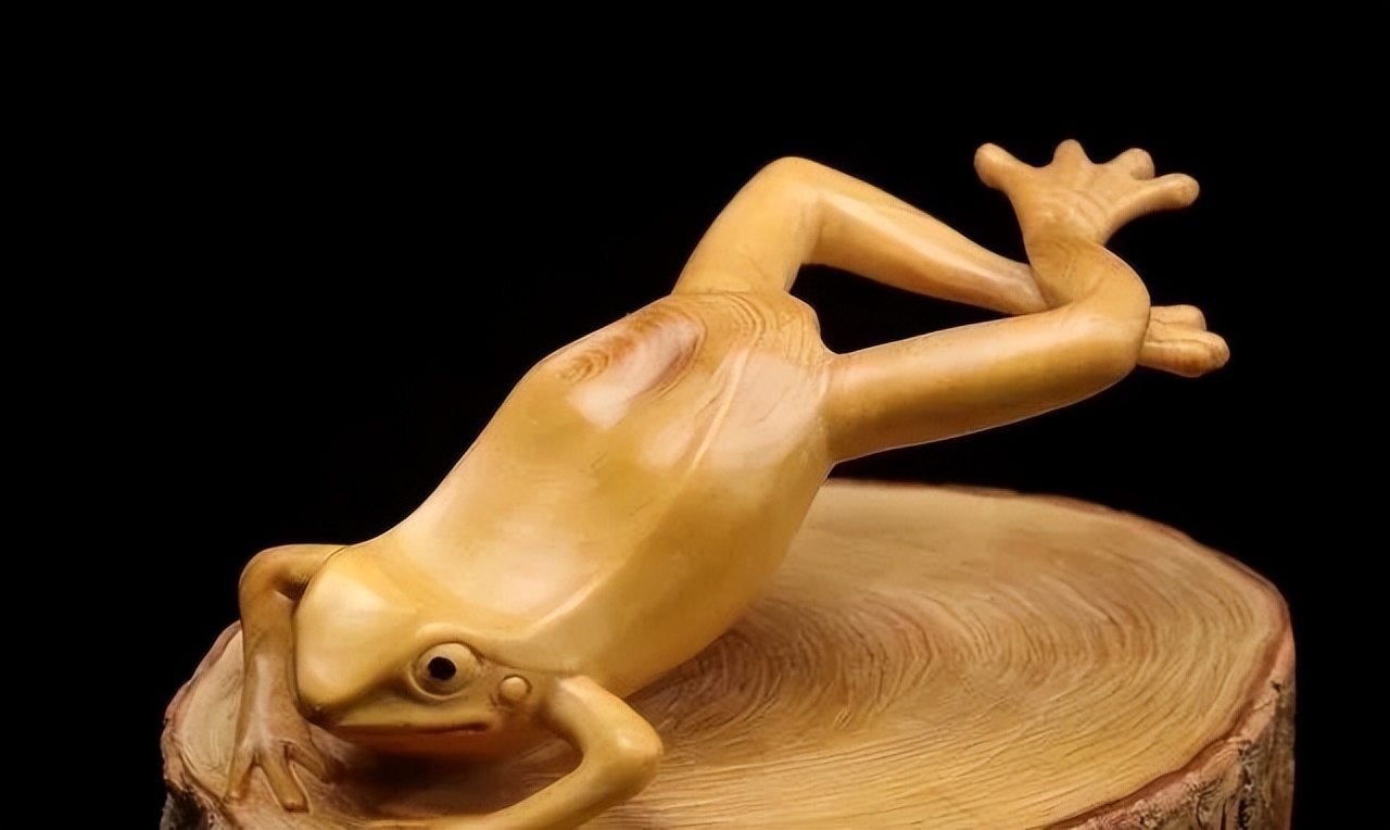 最好看的黄杨木,十种最好看的黄杨木