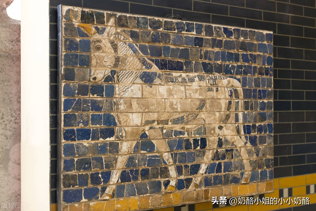 骗人的保险,十大骗人保险真相