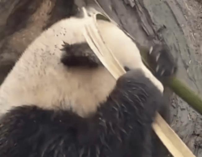 爱情高潮部分,爱情高潮版