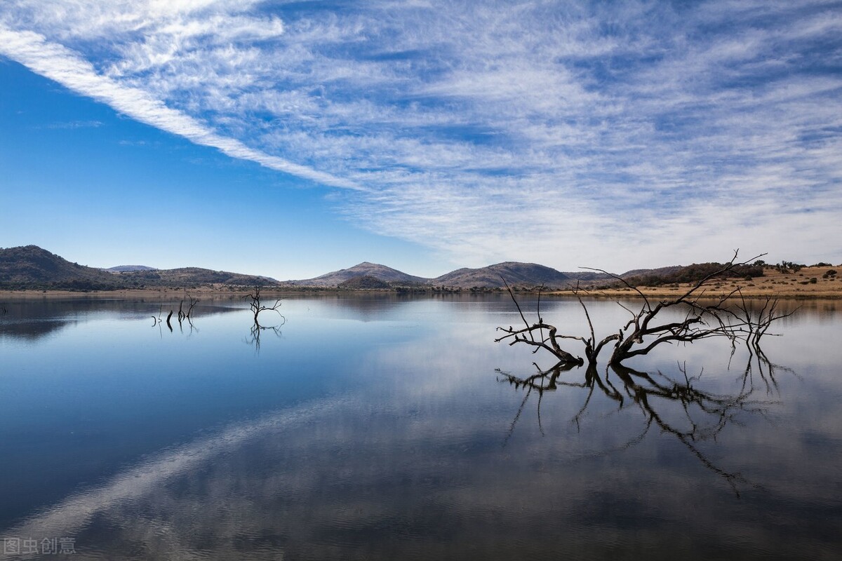 小聪明大智慧,大智慧出现什么问题了吗