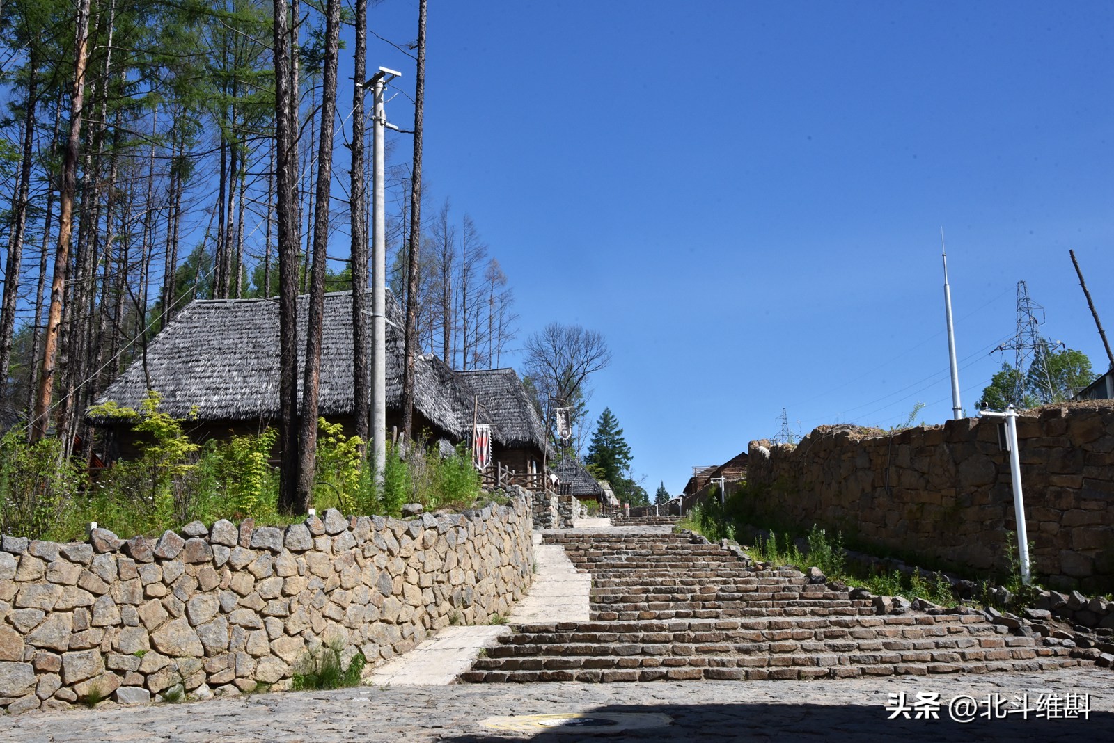 武德充沛，两次入主中原的女真族是如何发展而来？