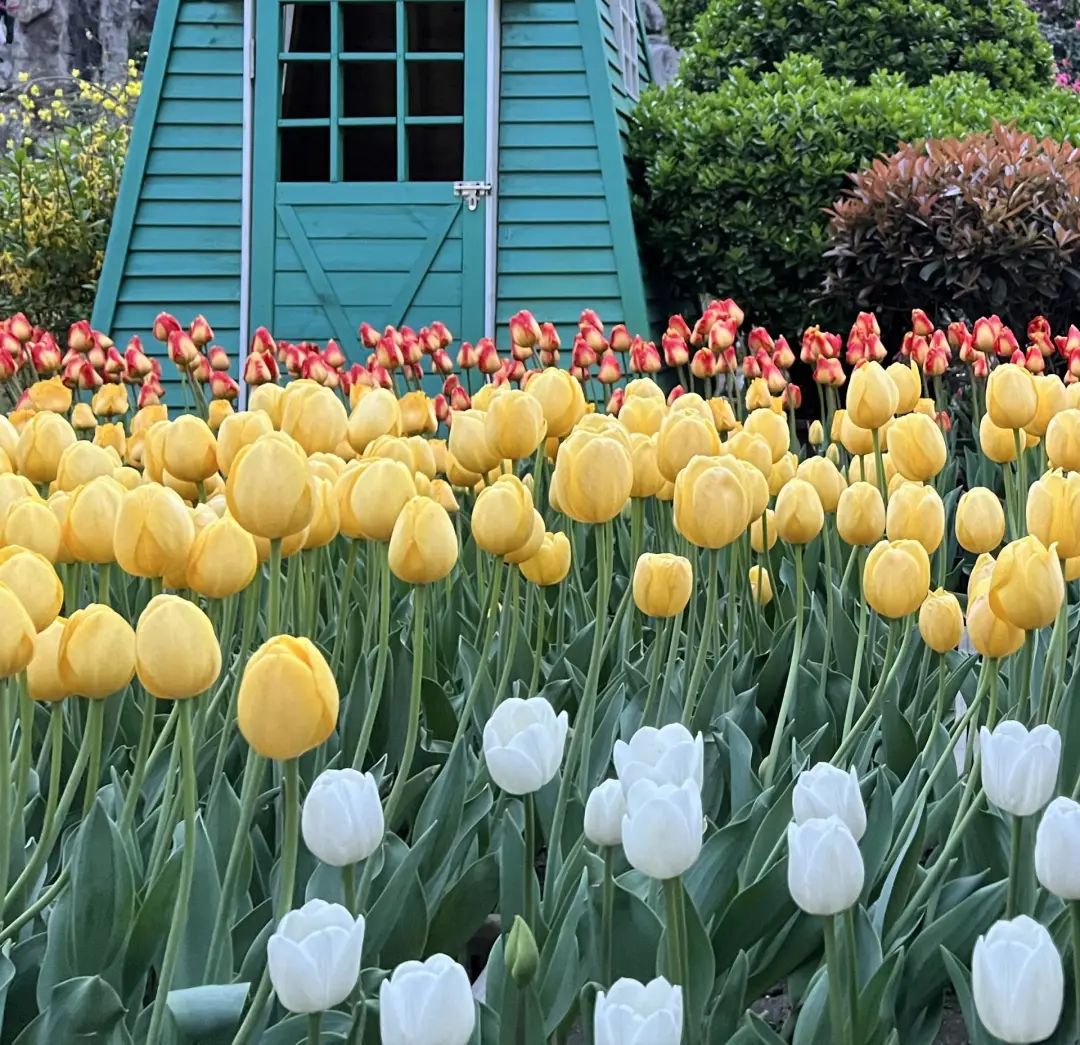 错过了一个秋天,错过了一个春秋