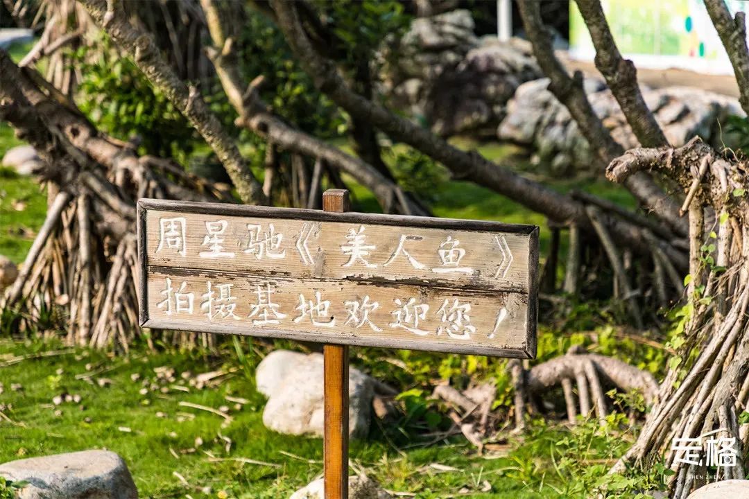 不用出国在深圳看到的美景,深圳有什么景点去看的不要钱的