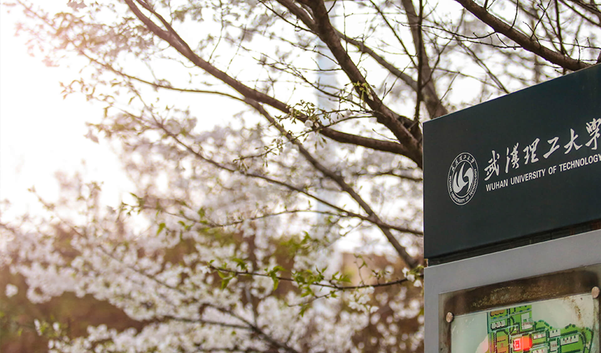 武汉理工大学计算机考研,武汉理工考研用什么资料