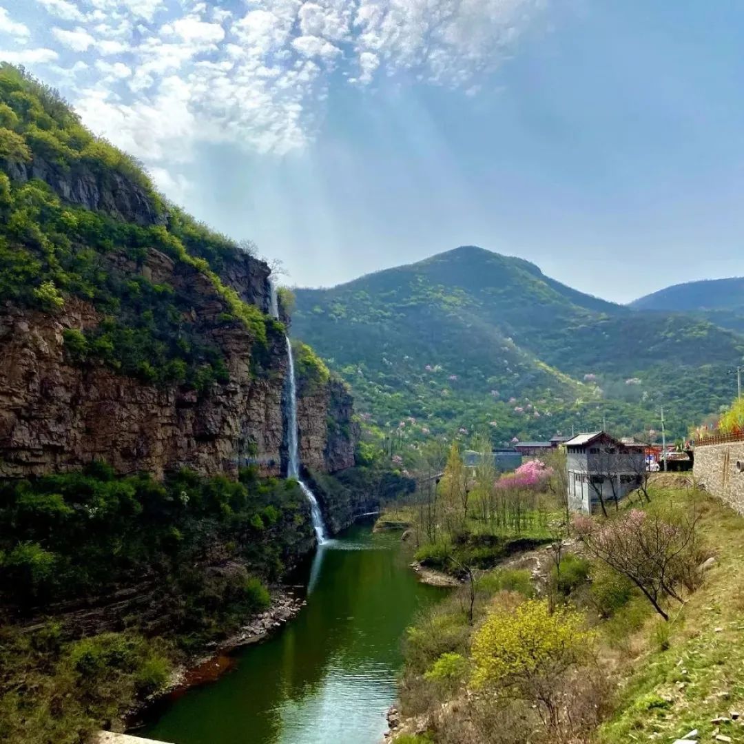 半价门票,景区免票半价