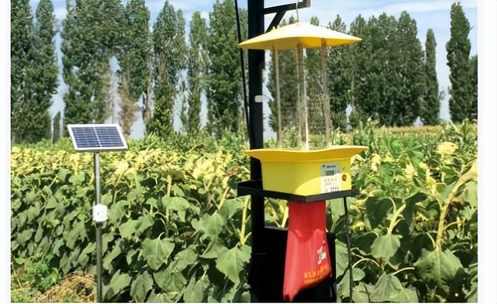 农业绿色植保技术,农业植保技术推广