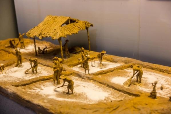 古代的盐非常昂贵,古代盐那么贵为什么不烧海水