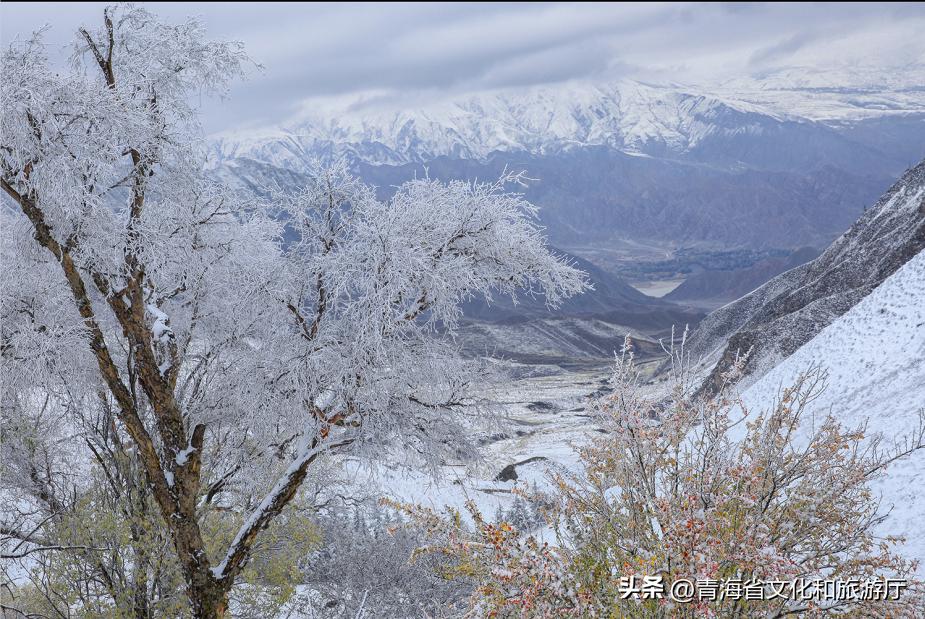 冬日青海的美，只有去过的人才知道