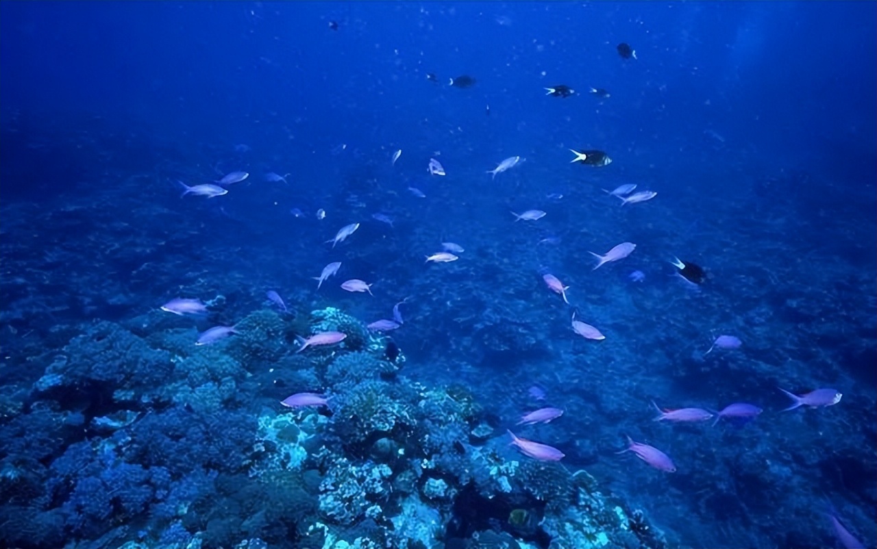 太仓海鲜事件真相,太仓海鲜事件始末