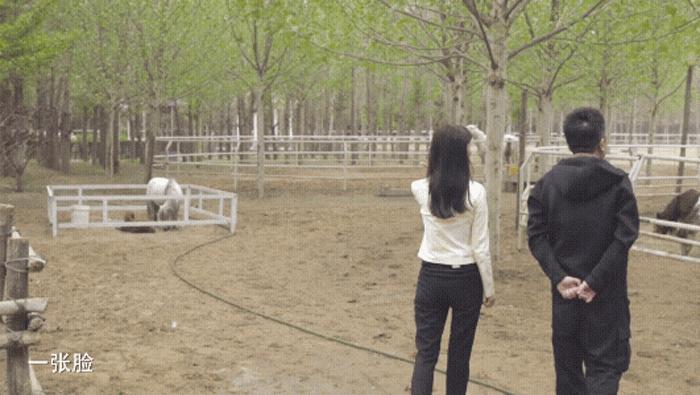 世界微笑日笑出你的美,世界微笑日你笑了吗