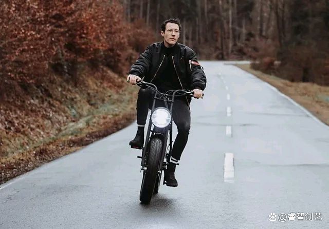 德国复古电动单车,复古单车电动