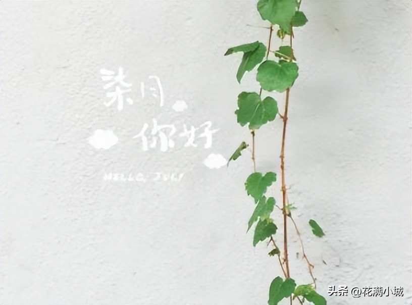 有关七月的散文,七月的散文原文