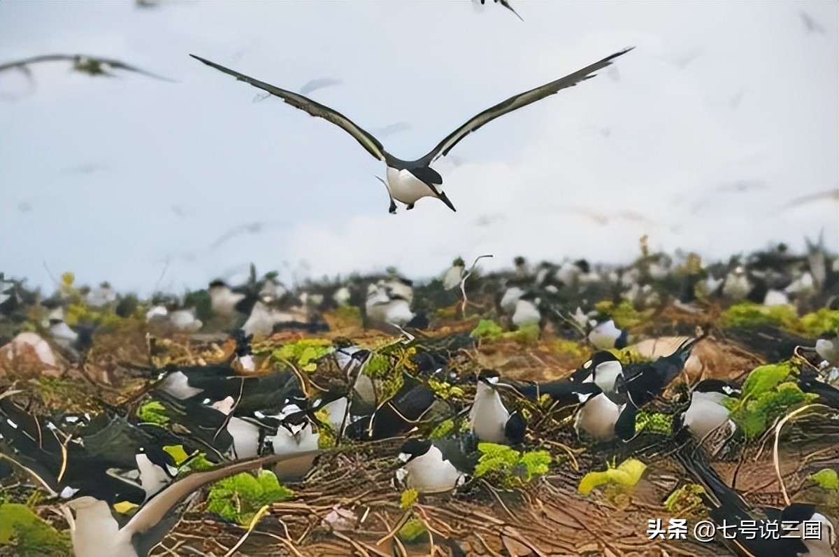 中国最大的渔岛多少面积,中国最大的渔岛