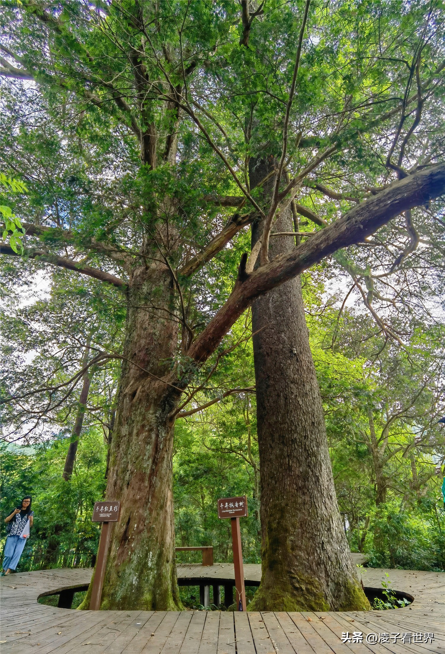 邵武云灵山漂流需要带什么,邵武云灵山漂流多长