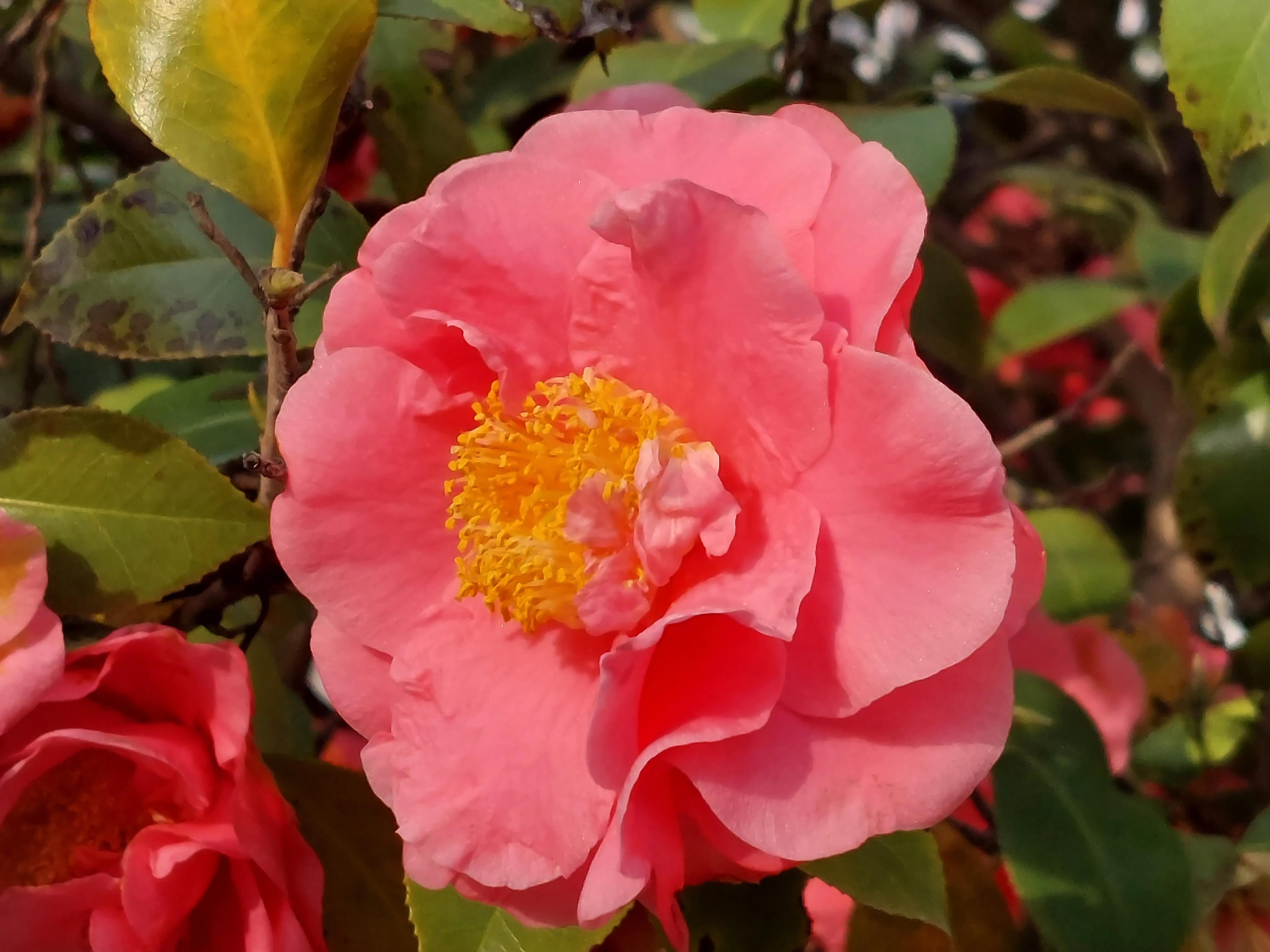 自媒体到底怎样赚钱,自媒体到底怎么赚钱的