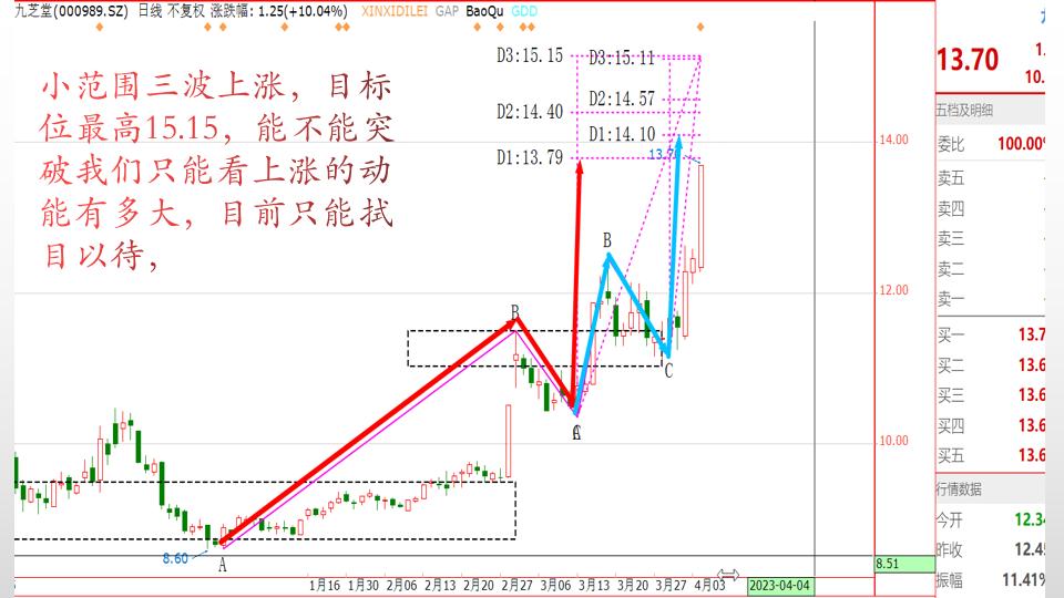 2024九芝堂股价趋势图,九芝堂股票2023最新分析