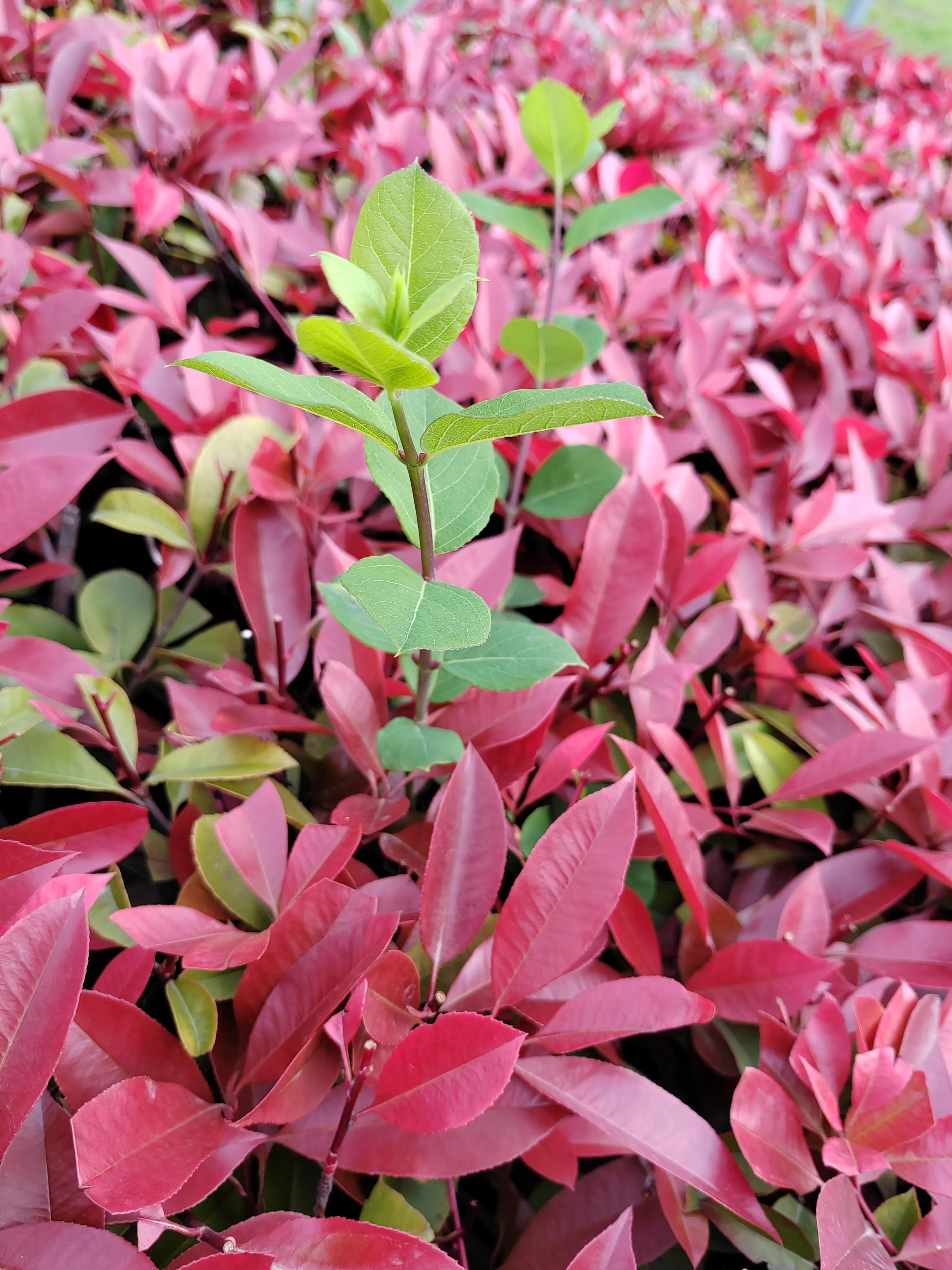 中国历史上第一部军事理论,举世公认的军事理论奠基人