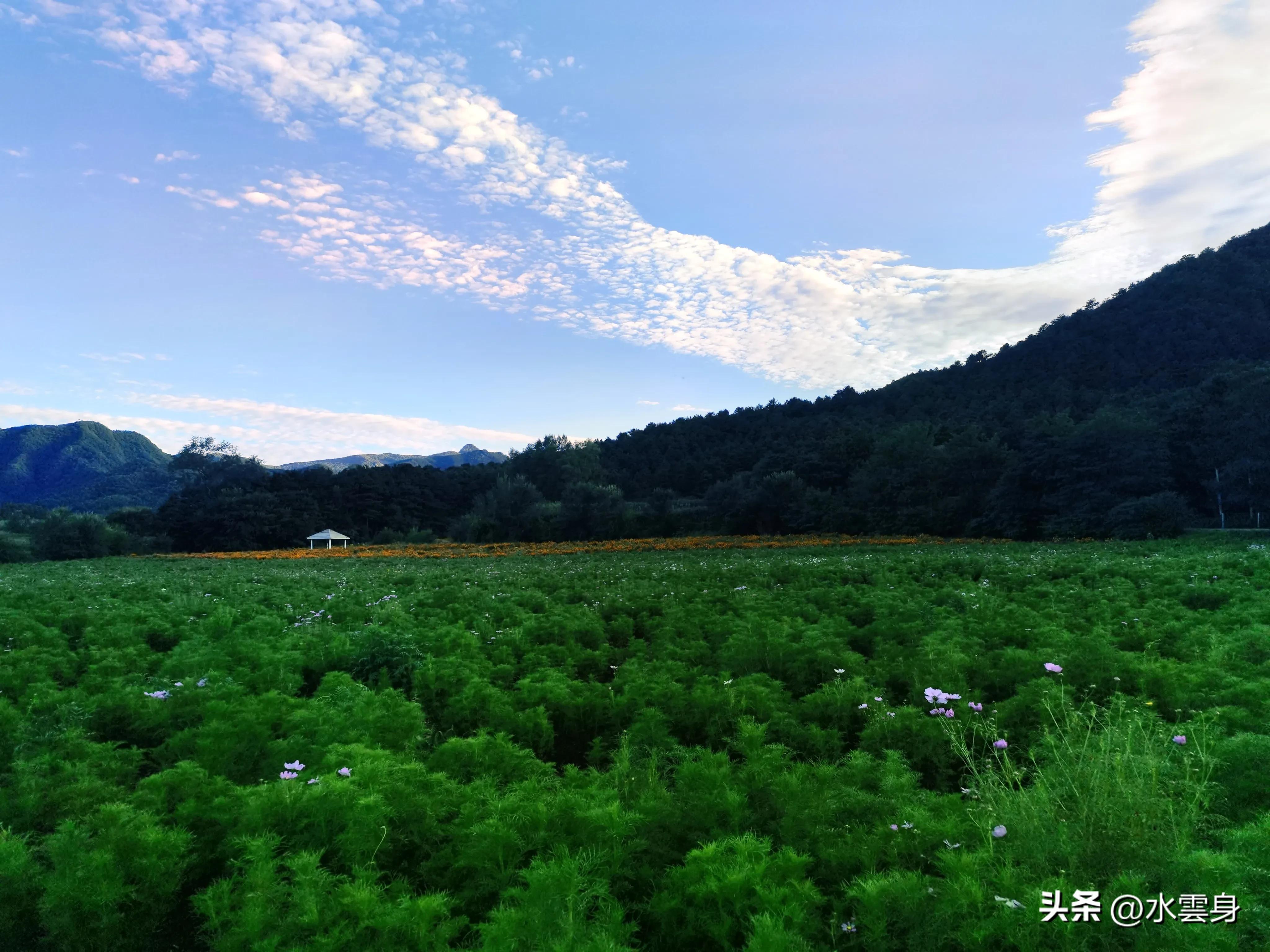 京郊赏花自驾游线路推荐,京郊免费景点一日自驾游路线攻略