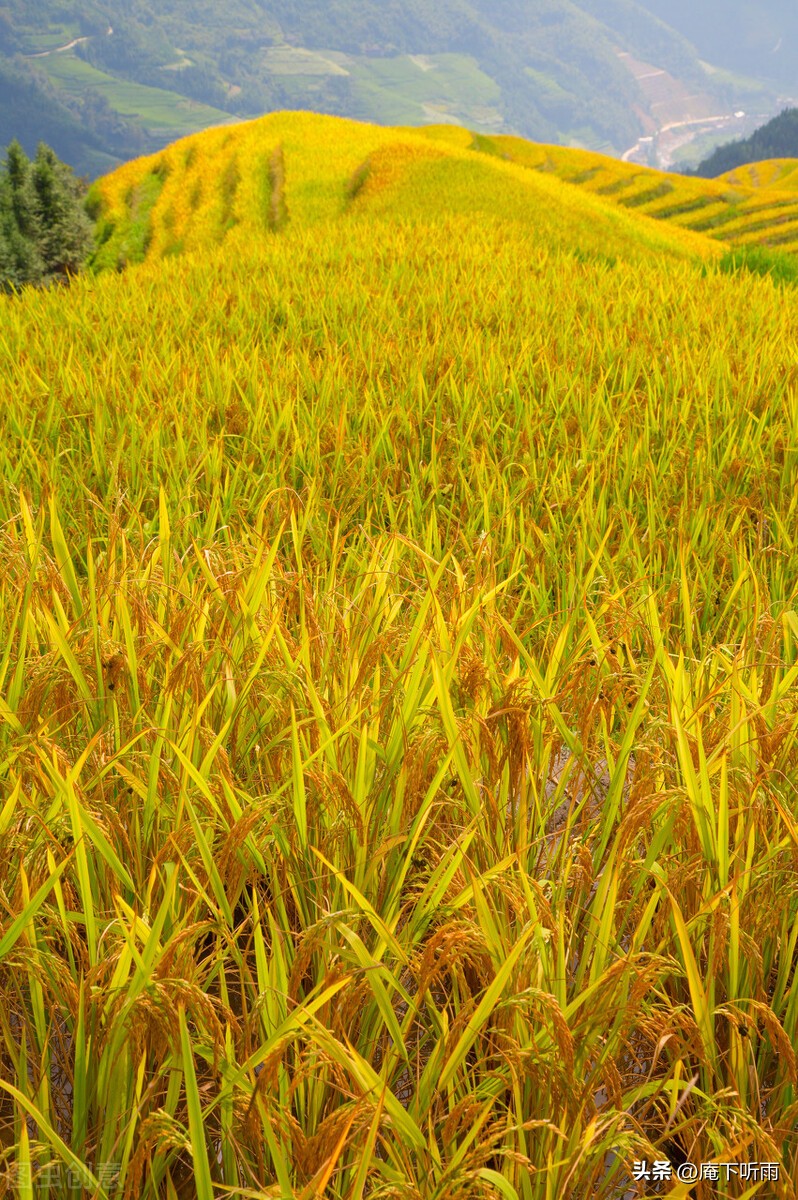 陶渊明著名十首短诗词,陶渊明躬耕生活的诗歌和文章