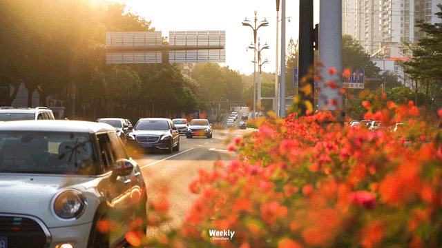 真羡慕那些住高档小区的人,真羡慕住在海边的人