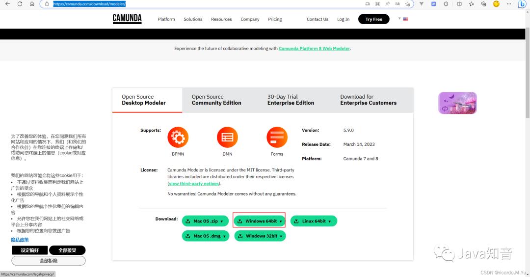 springboot集成审批流程,springboot整合路线