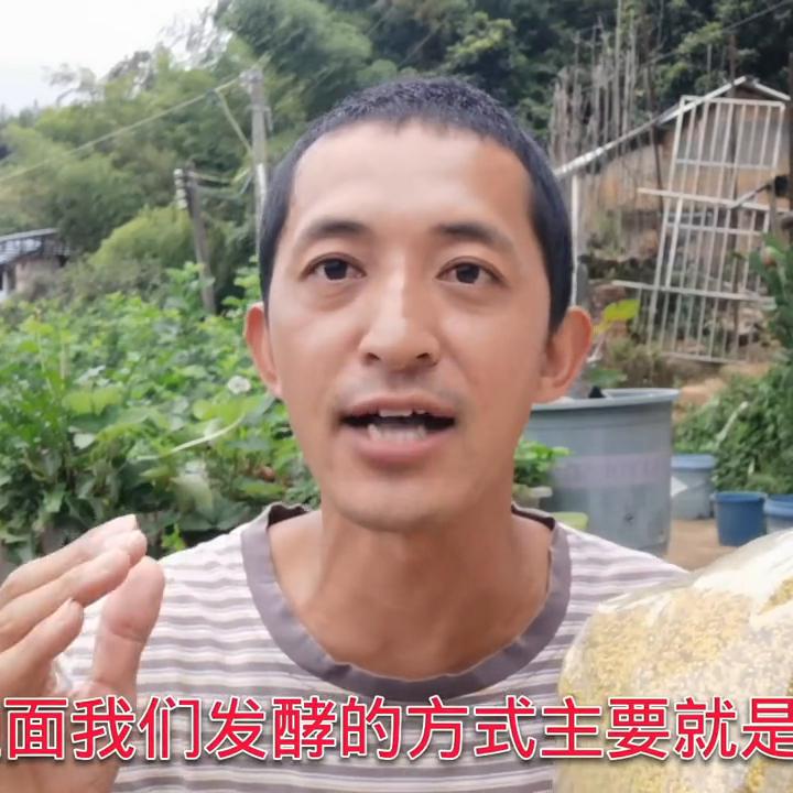 花粉发酵20几天还能喂蜂吗,喂蜂花粉的调制方法