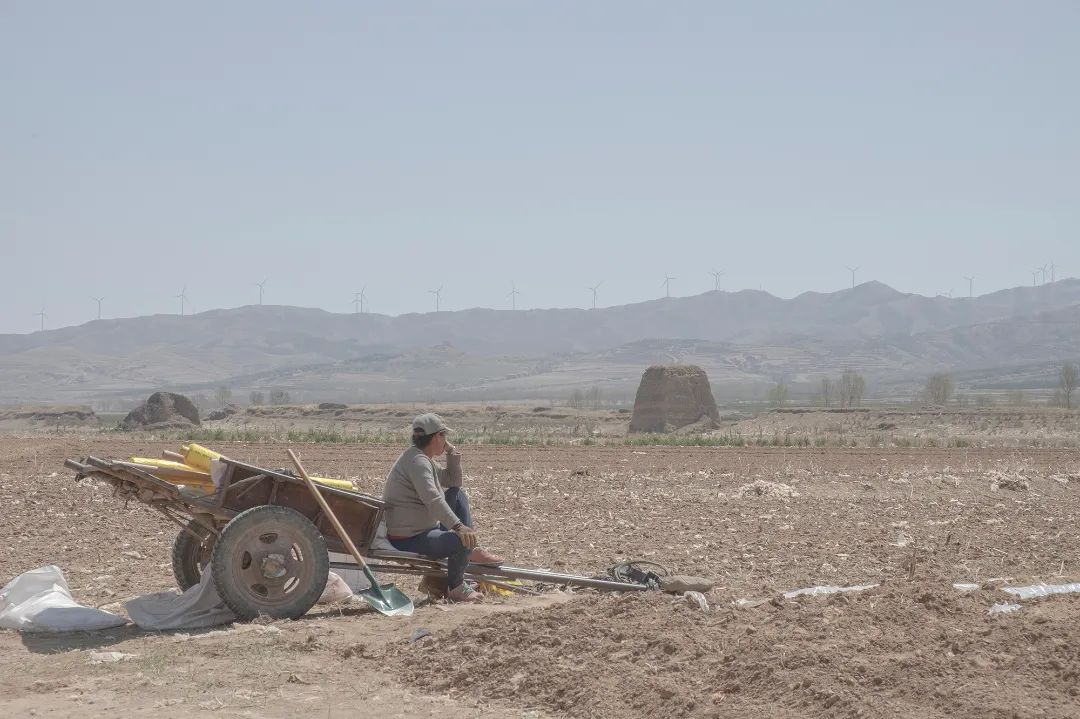 迎接党的20大美术作品,喜迎二十大乡村摄影展