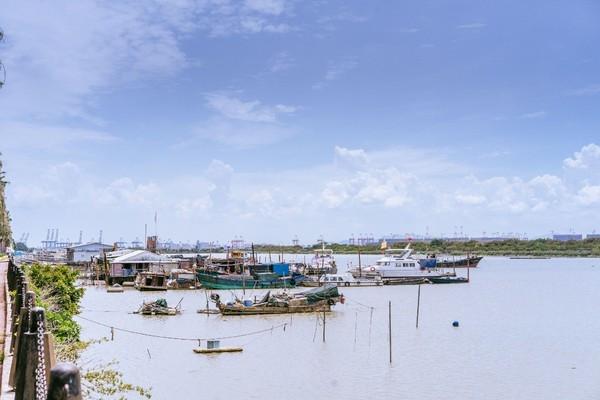 湾区光影魅力,南沙湾区超美风景线