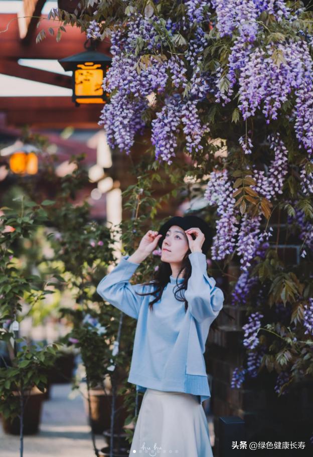 世界花园风景,世界花园