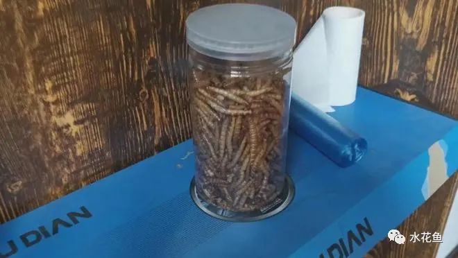 养殖集资诈骗8000万判刑案例,集资养殖诈骗案