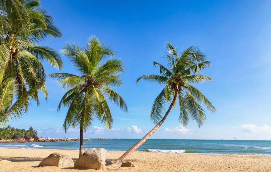 抖音电商商品上架,抖音电商山茶油