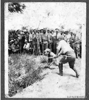 国家公祭日铭记家国之殇,国家公祭日历史讲述