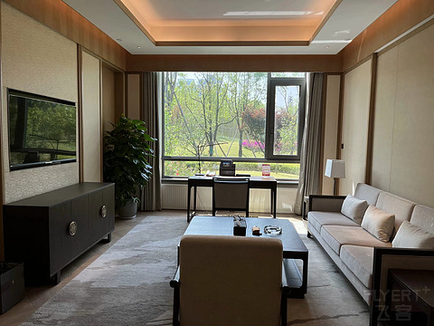 鍒濆涔嬫梾榛勯噾娴峰哺,鍒濆涔嬫梾