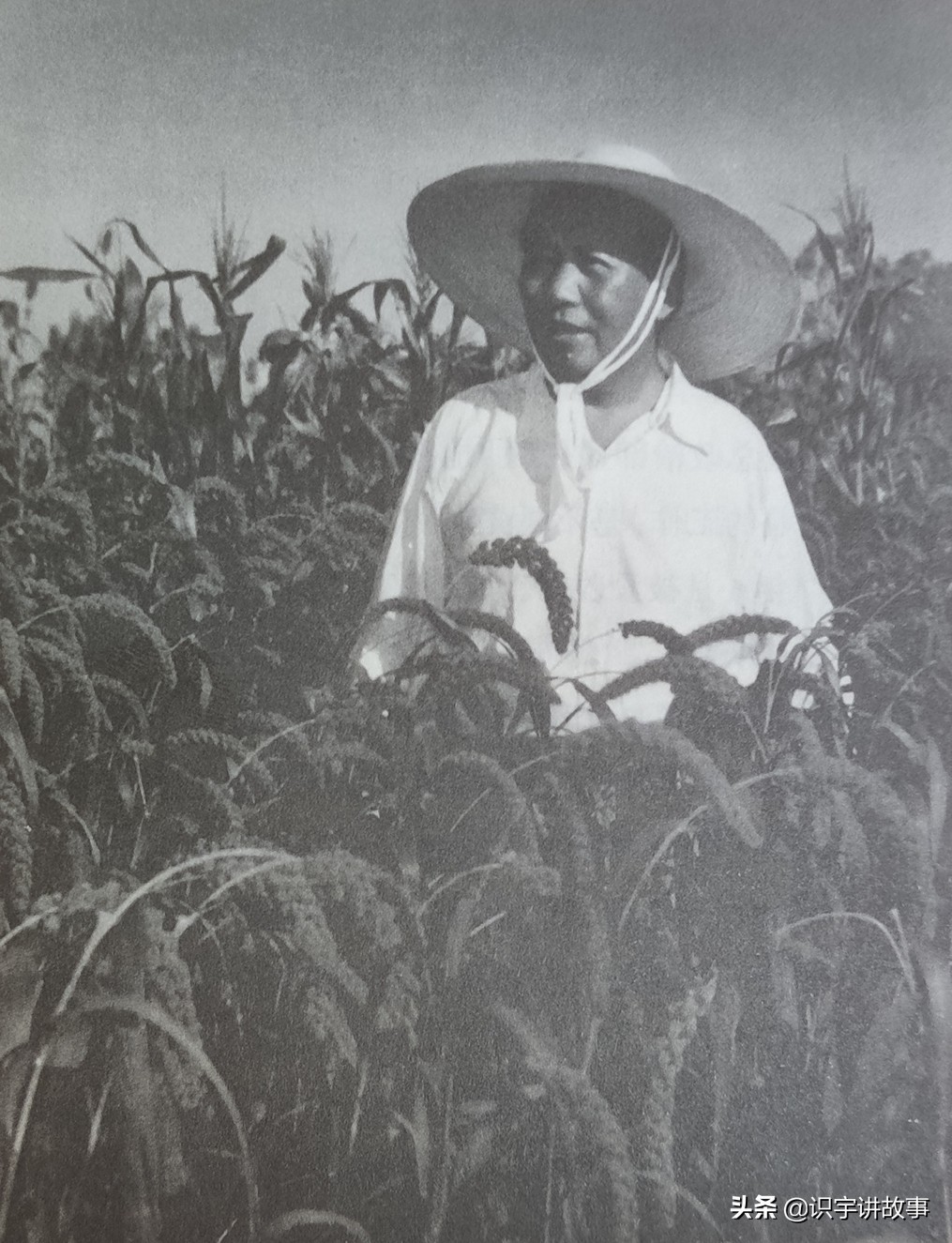 一次看个够！精心收集毛主席100张经典老照片，一起领略伟人风采