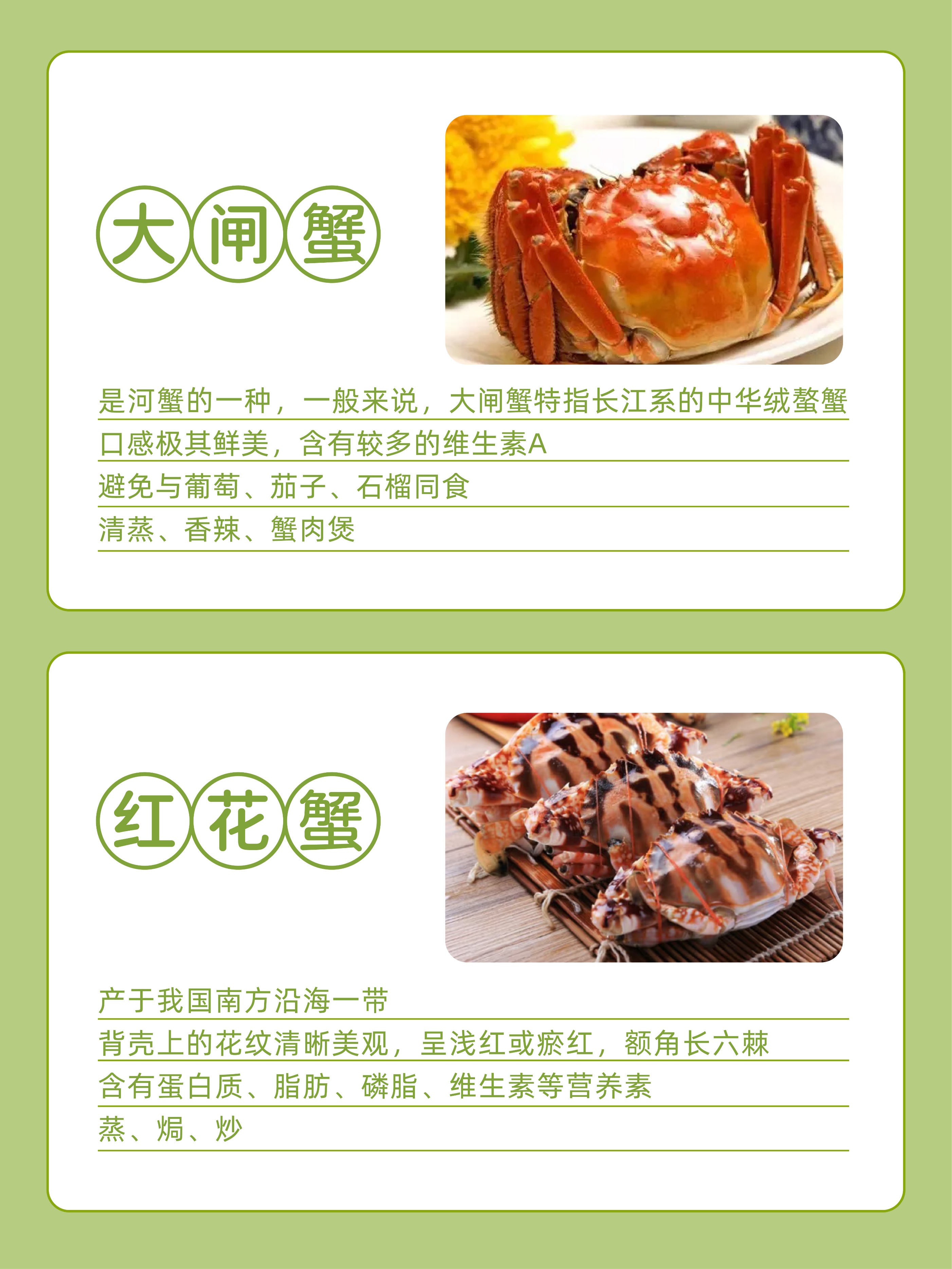 螃蟹的分类和食用方法,三亚常见的螃蟹种类