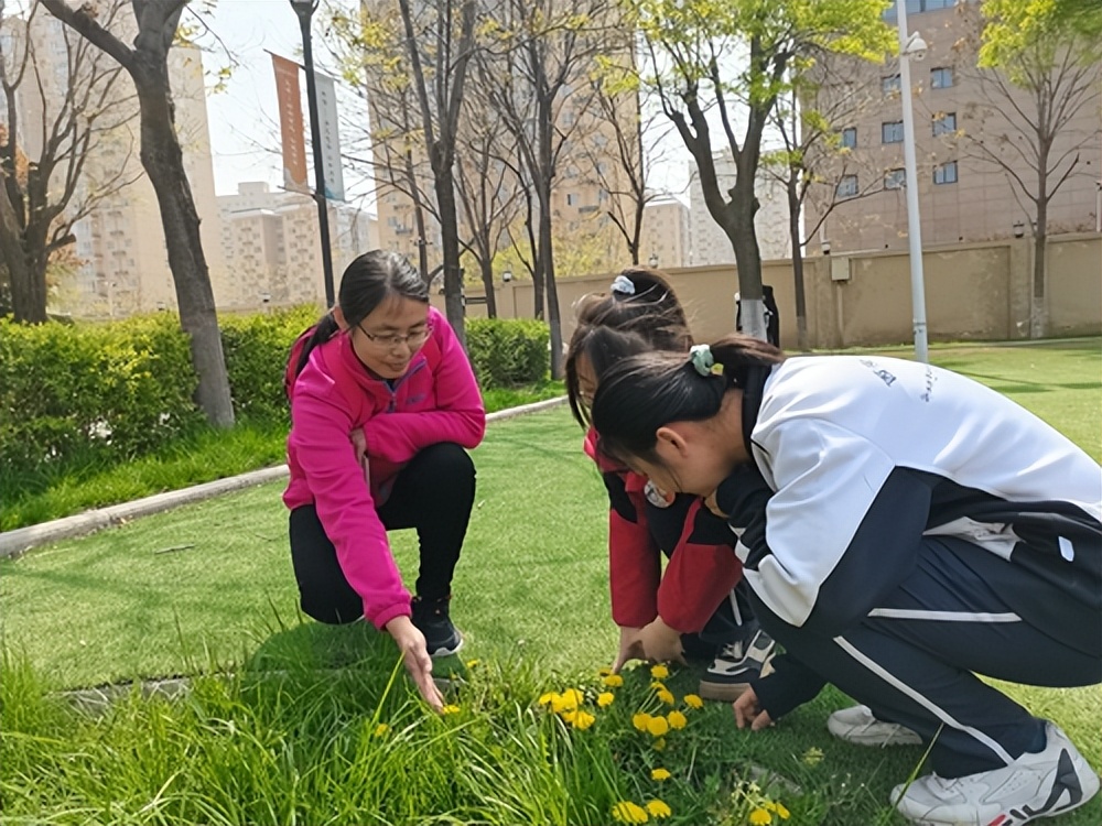 西安市浐灞第一中学2019届,西安浐灞第一中学