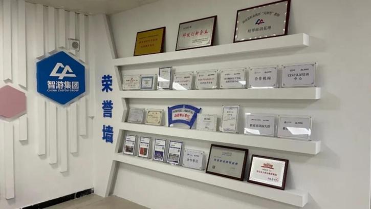 智游集团属于什么机构,智游集团简介