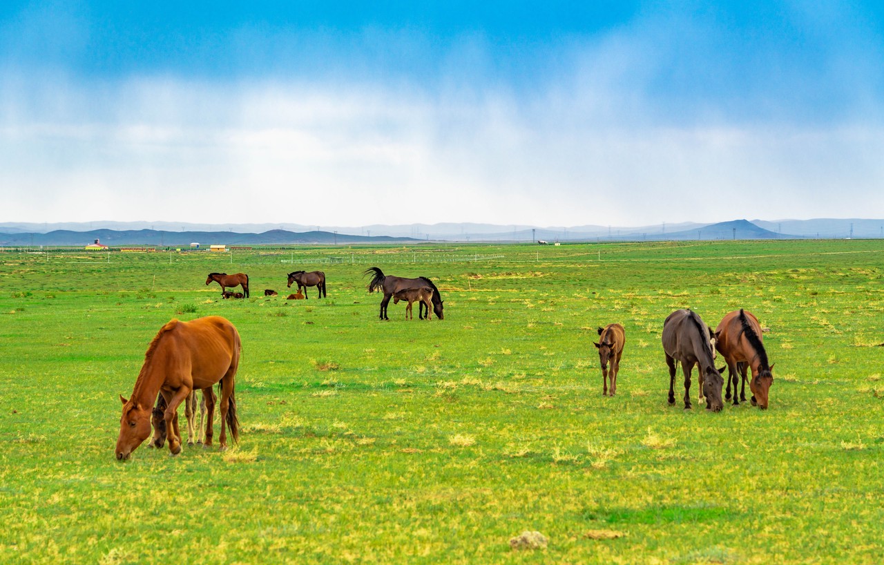 从广州自驾内蒙赤峰最佳路线,自驾内蒙赤峰环线