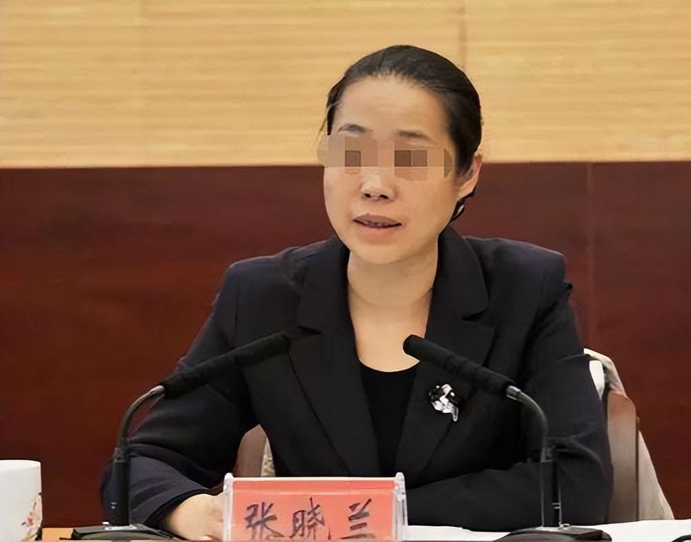 葵花药业创始人,葵花药业发家史