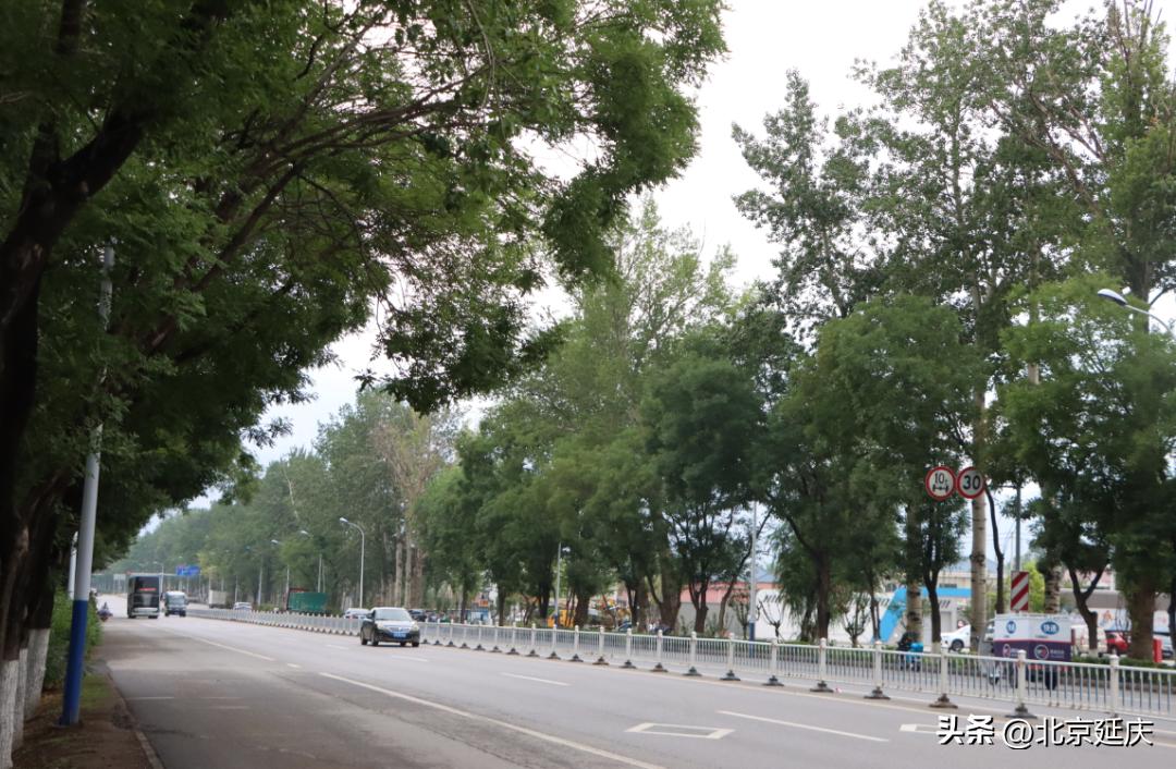 延庆环境治理,四项措施推进街道环境综合整治