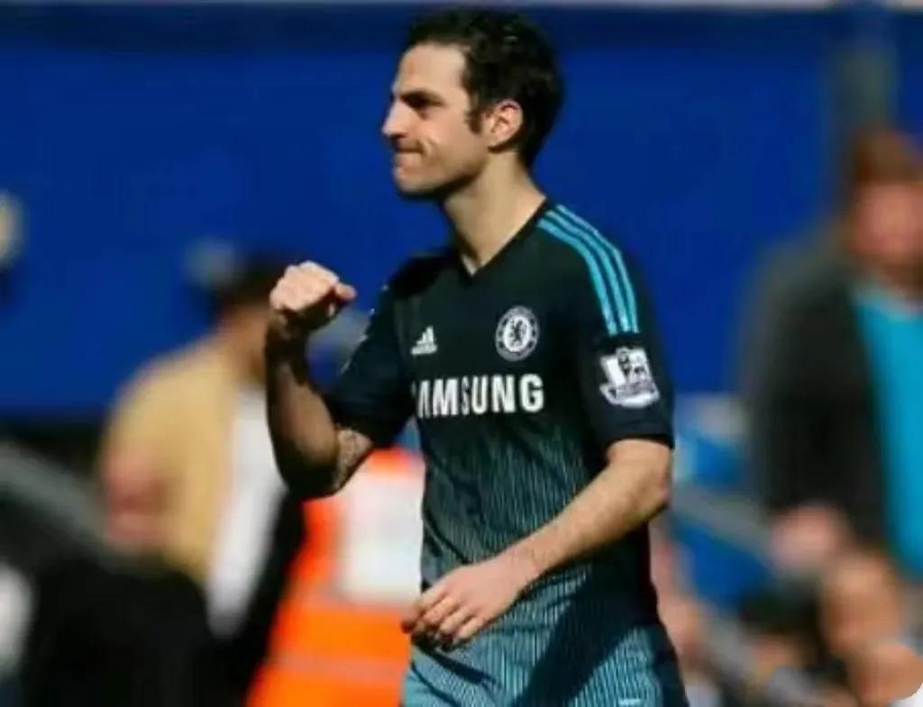 塞斯克法布雷加斯的师傅,法布雷加斯世界杯集锦