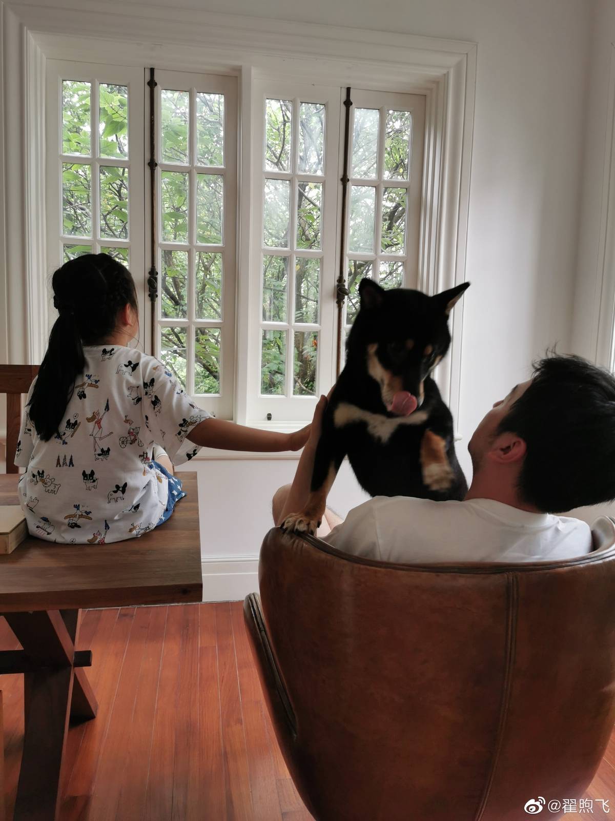 雷佳音最新进展,雷佳音最新作品解说