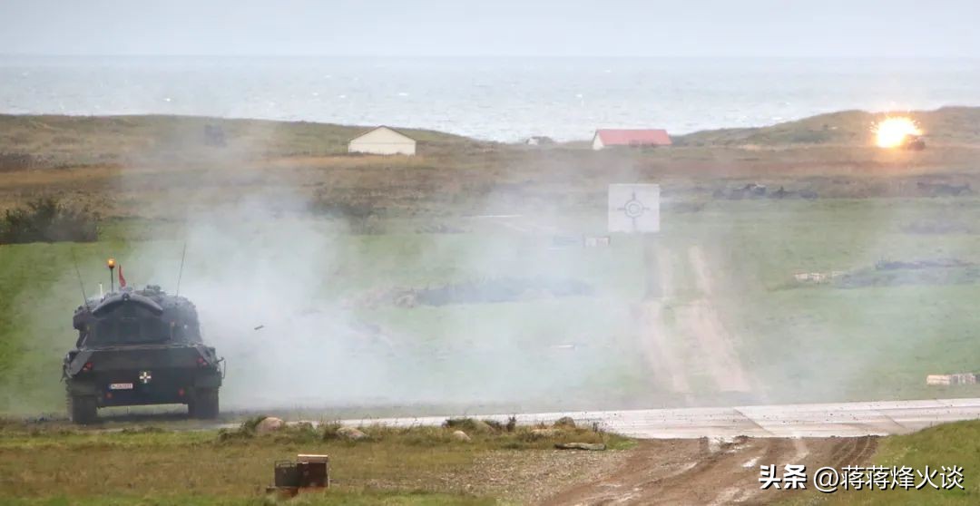 乌克兰猎豹坦克,乌克兰猎豹防空炮