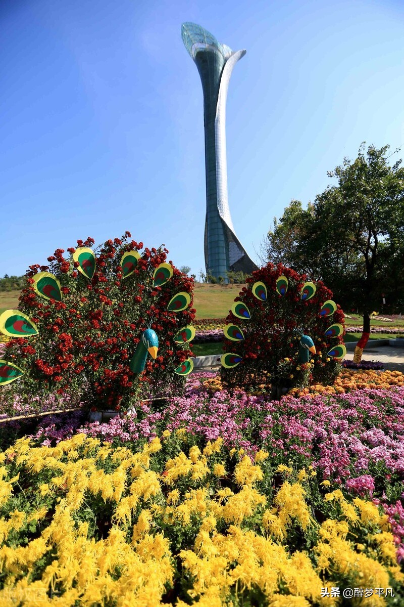 沈阳植物园沈阳世博园,沈阳世博园和植物园区别