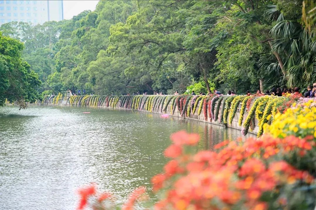 国内好看小众的湖泊,深圳好玩的湖泊有哪些