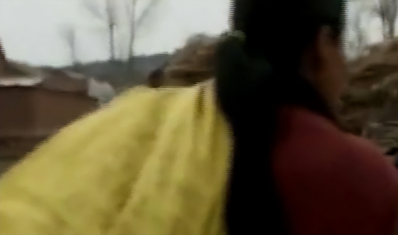 吉林农妇救了一条蛇,吉林农妇救毒蛇同吃同住12年