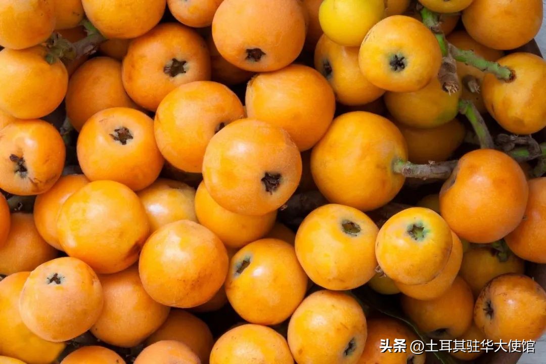 土耳其吃什么水果好,随季节变化而多吃应季食品