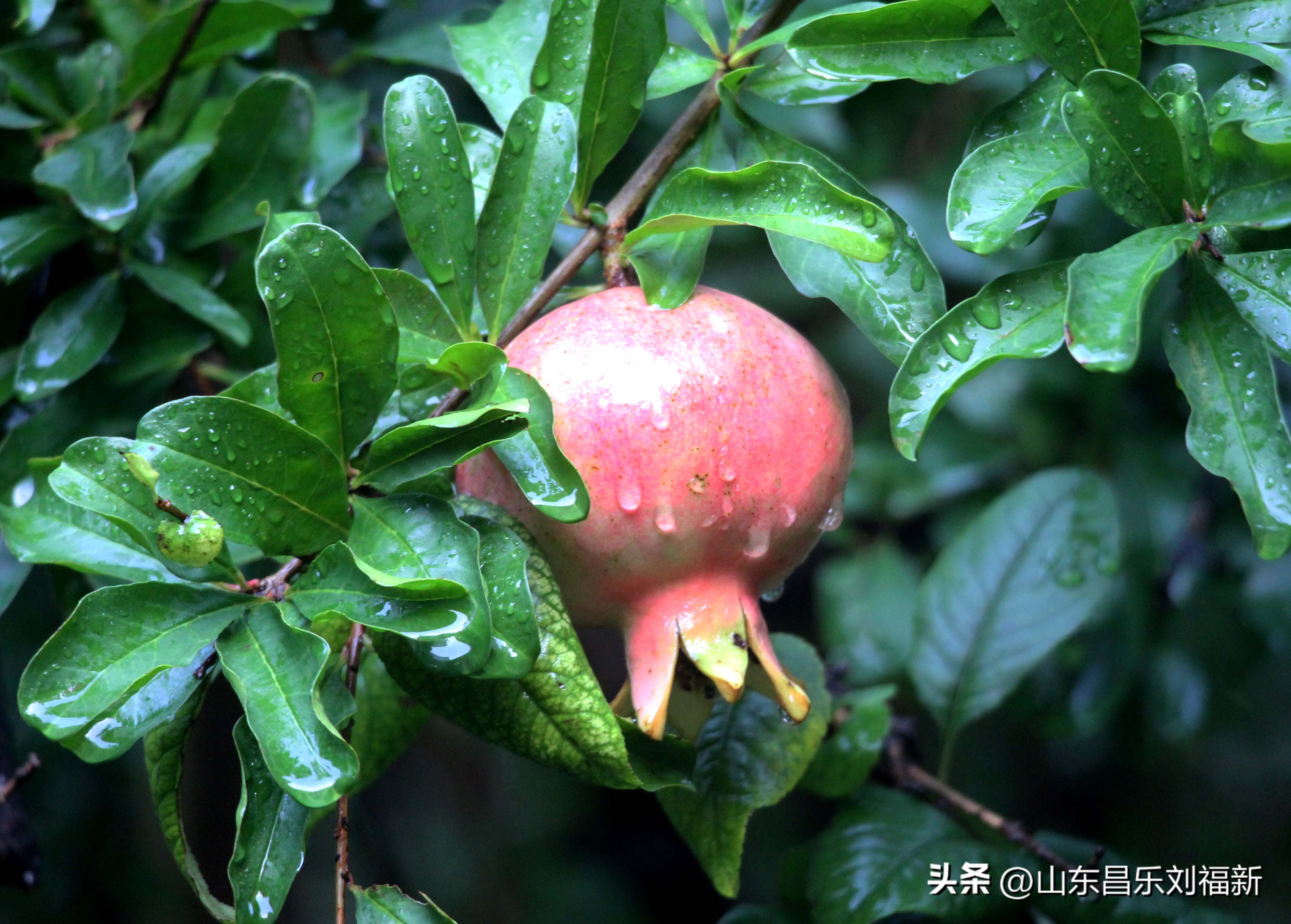 2023年8月20日有雨吗,2021年8月19日有没有下雨