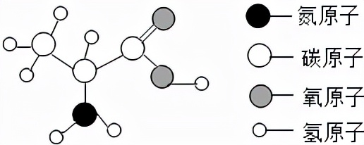 初中化学——计算题模拟篇第一节物质的分类及转化