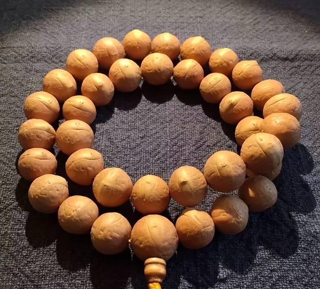 凤眼菩提牛津红和枣红色区别,揭秘凤眼菩提